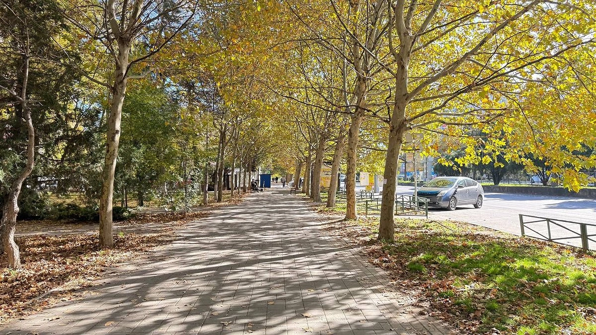 В Новороссийске определили места для благоустройства по инициативе жителей