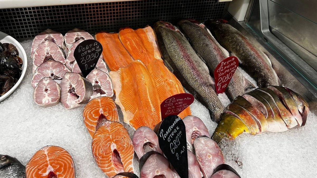 Главная картинка новости: Учёные назвали самую полезную для человека рыбу — ешьте два раза в неделю. Богата селеном, фосфором и прекрасна на вкус