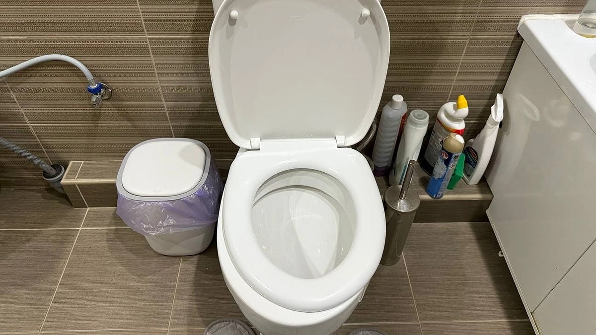 Что засыпать в дачный туалет, чтобы все мигом растворилось: удивительное средства от запаха и отходов