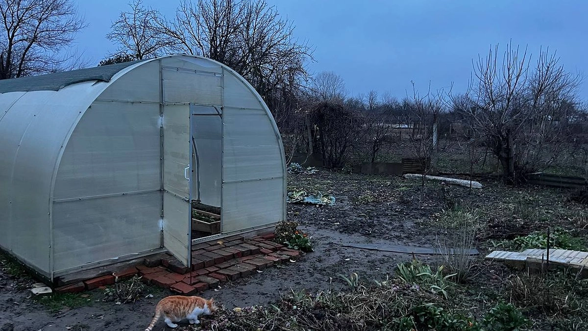 С 1 мая теплицы под запретом: приняли новый закон для всех россиян, у кого есть дача или участок, — новые штрафы