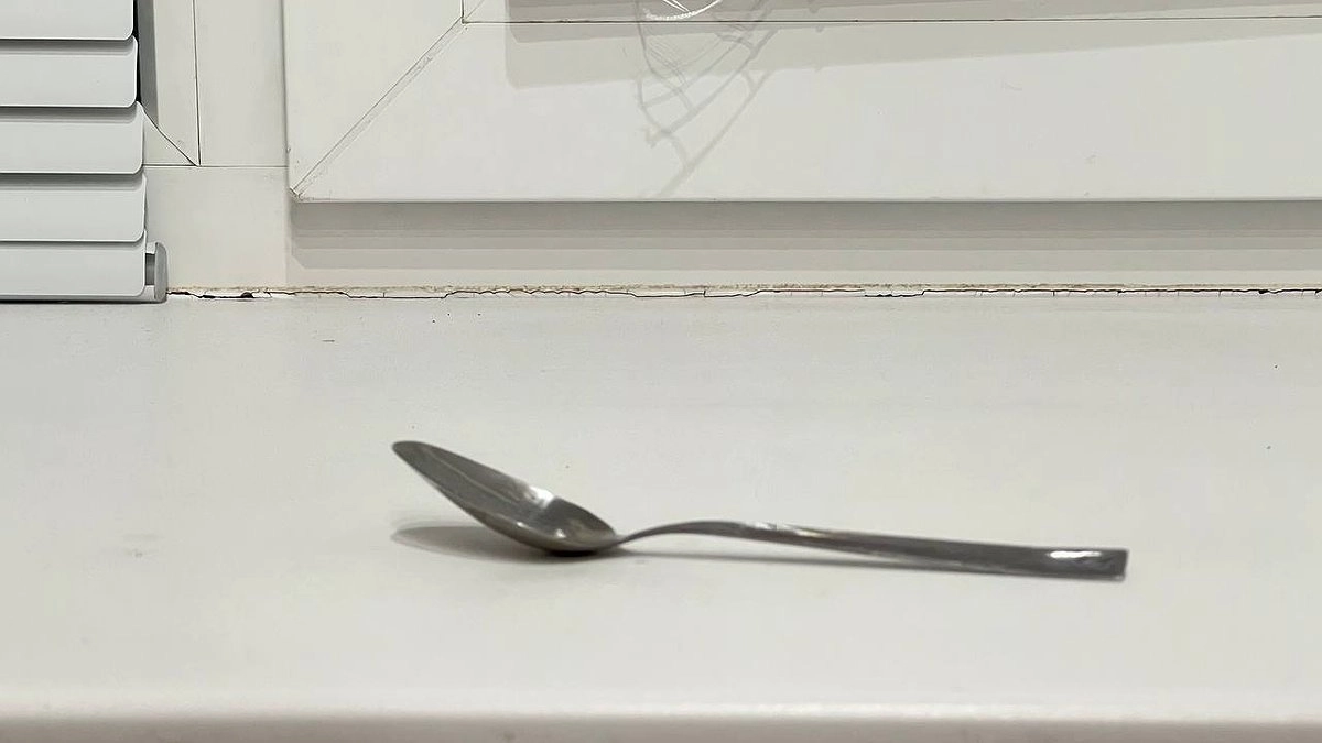 Главная картинка новости: Кладу ложку на подоконник, когда уезжаю из дома. Этот простой секрет решает главную проблему.