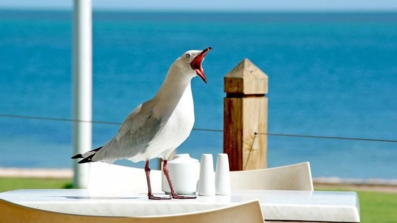 Туристы, вернувшиеся с Черного моря, массово подают в суд