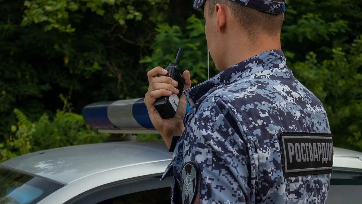 Новороссиец пытался вынести неоплаченный алкоголь и спортивную одежду из магазина