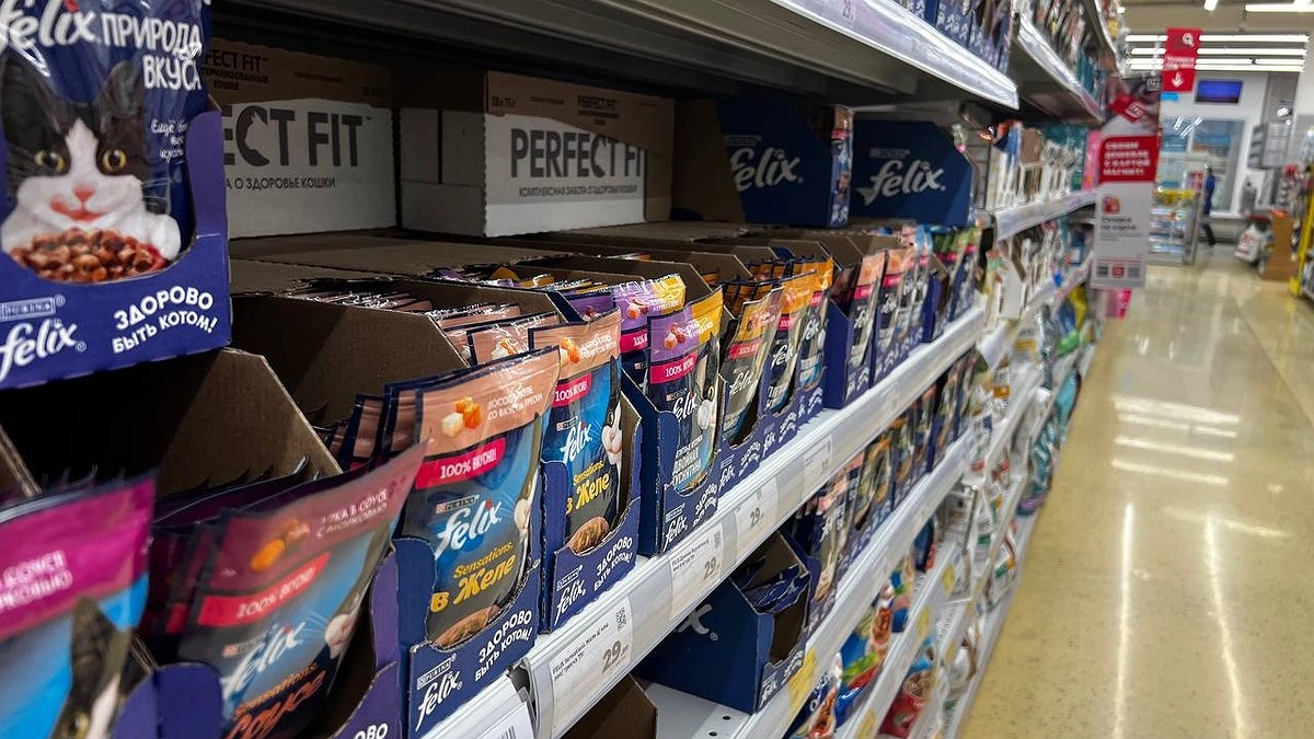 "Не травите этим кошек": эксперты Роскачества озвучили самые худшие марки корма для питомцев