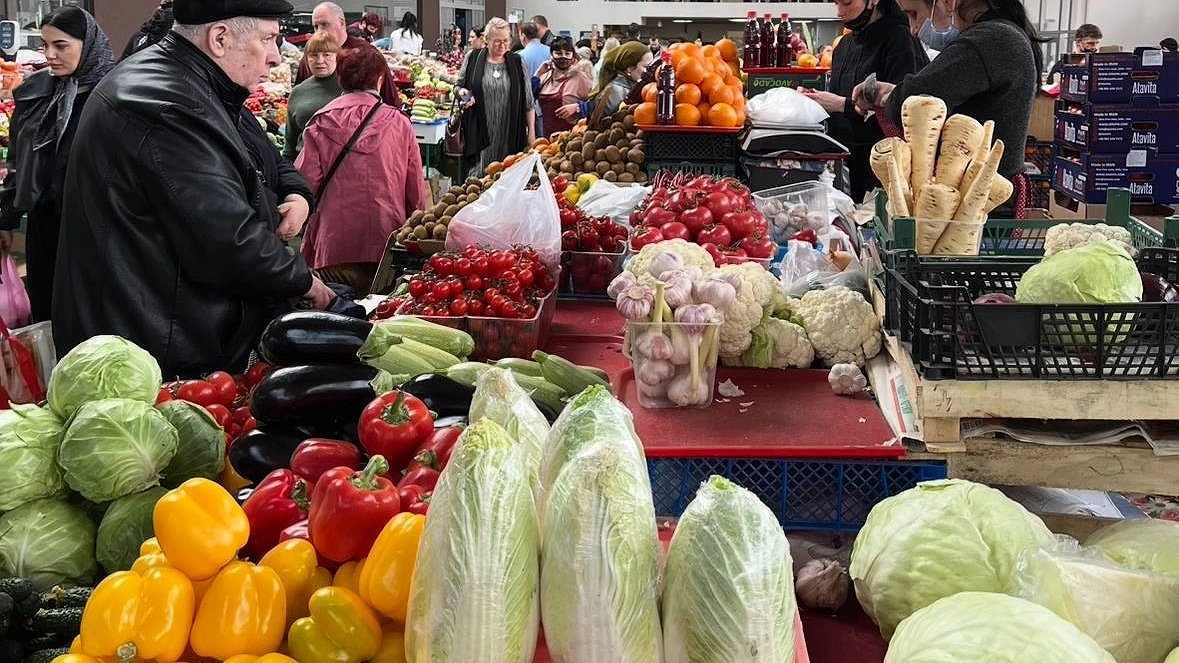 Где в Краснодаре купить свежий сыр и фермерское мясо 28 марта: адреса ярмарок выходного дня