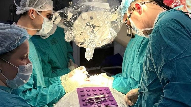 Ужасный инцидент в Адыгее: овчарка напала на пожилую женщину