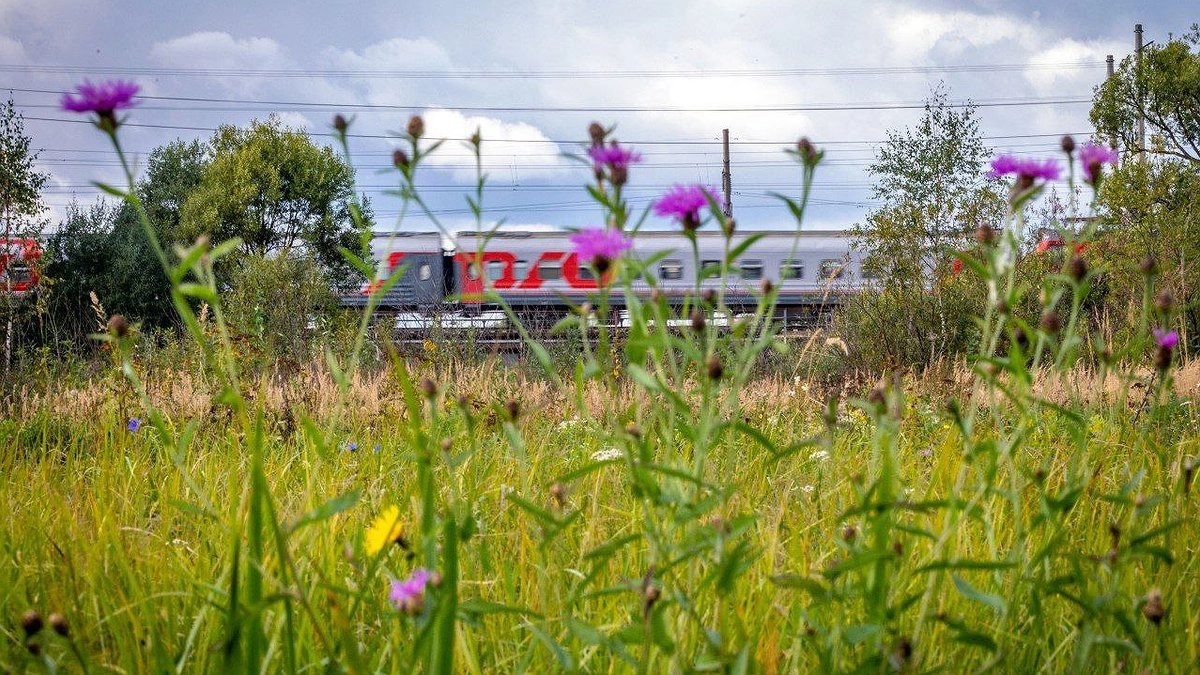 Новороссийск стал популярным городом для путешествий поездом на Юг России