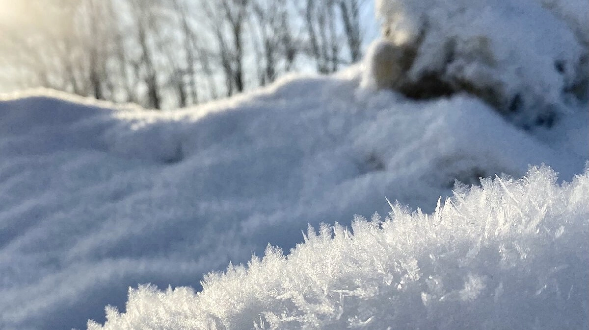 «Готовьте валенки и дрова»: синоптики предупредили о лютой зиме — новый прогноз пугает морозами и снегопадами