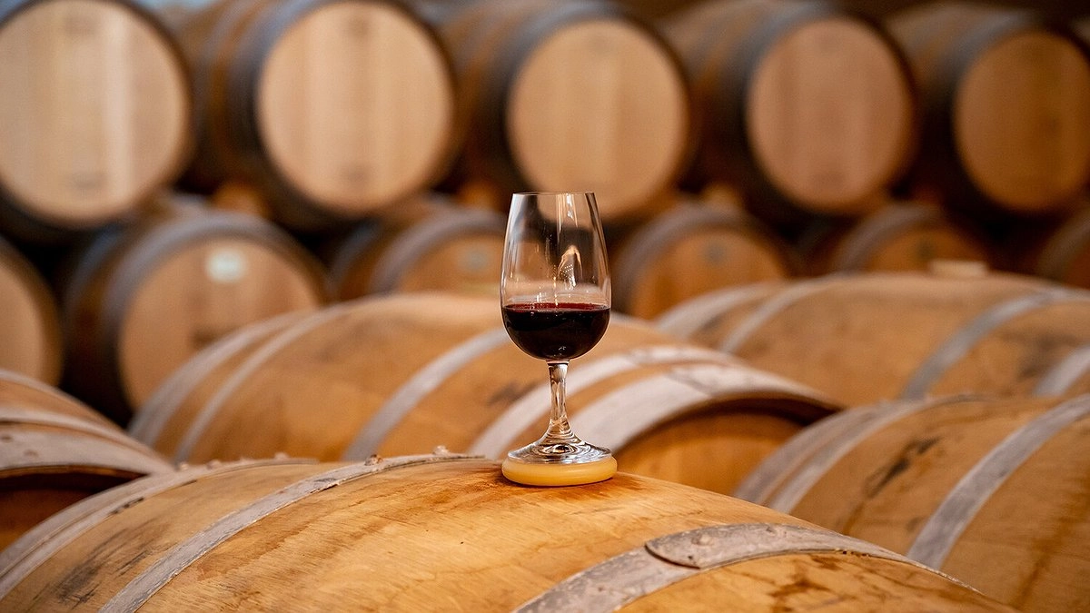 Главная картинка новости: Кубанское виноделие на подъёме: регион произвёл свыше 200 миллионов литров вина с начала 2025 года