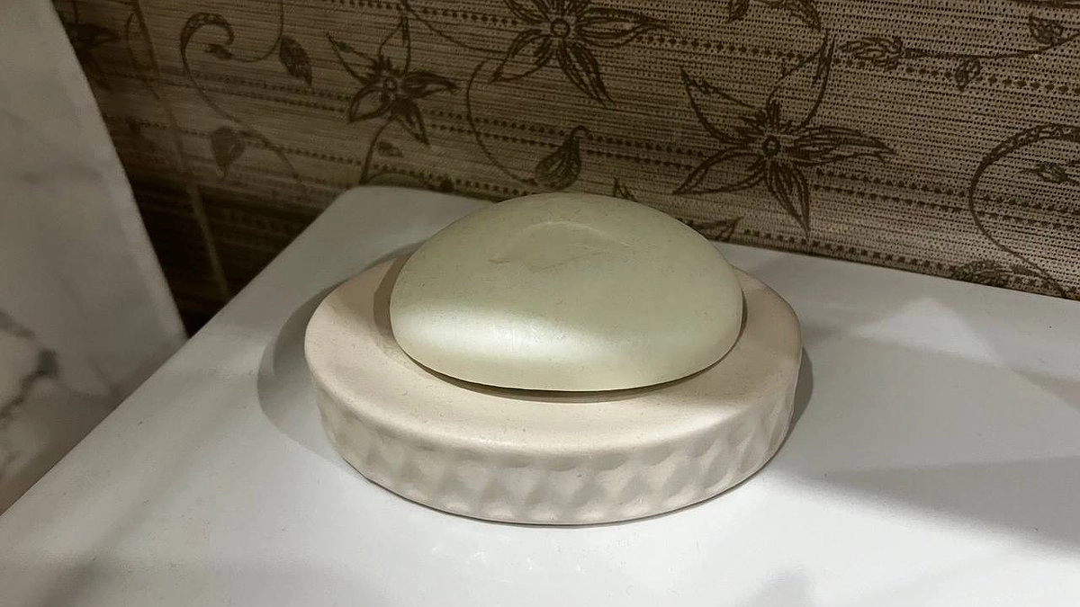 Обмылки мое спасение на даче: заворачиваю пару штук в туалетную бумагу или в чулок — который год радуюсь своей смекалки