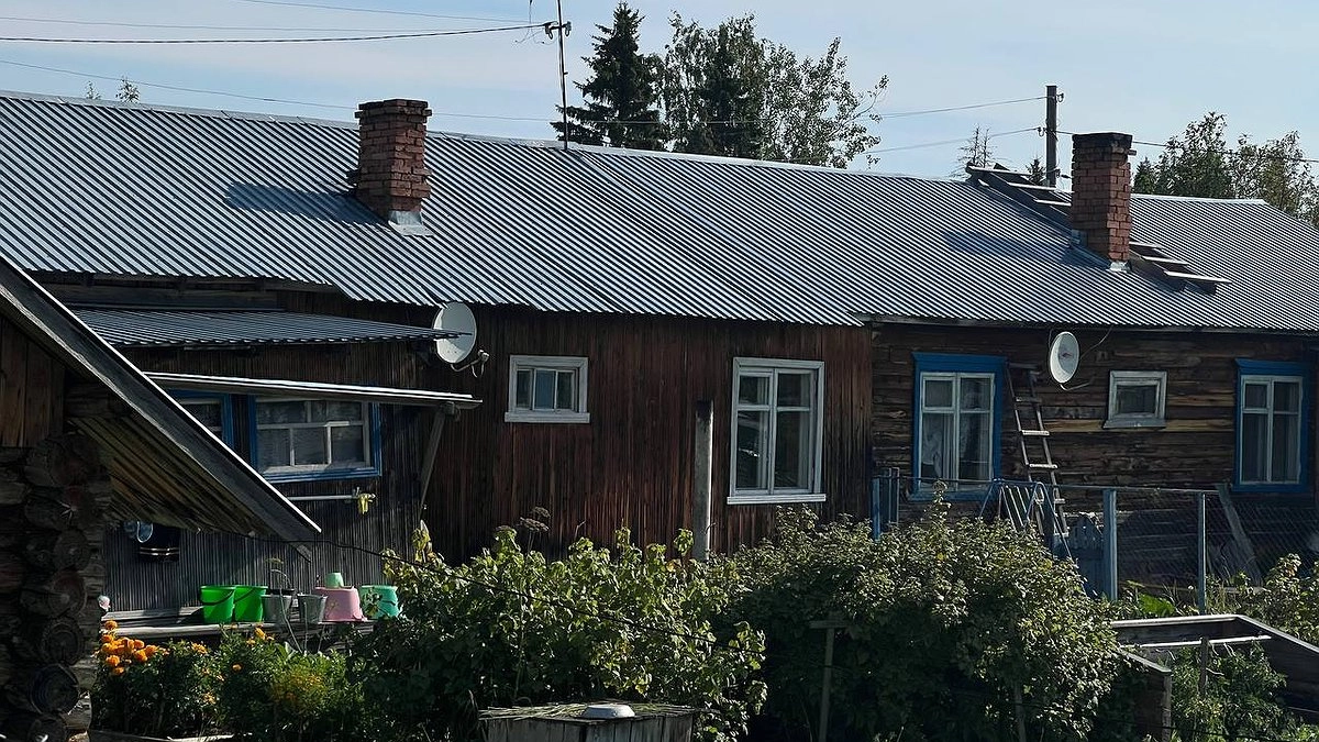 Борщевик и амброзия в Анапе: более 250 протоколов за ненадлежащее содержание земель