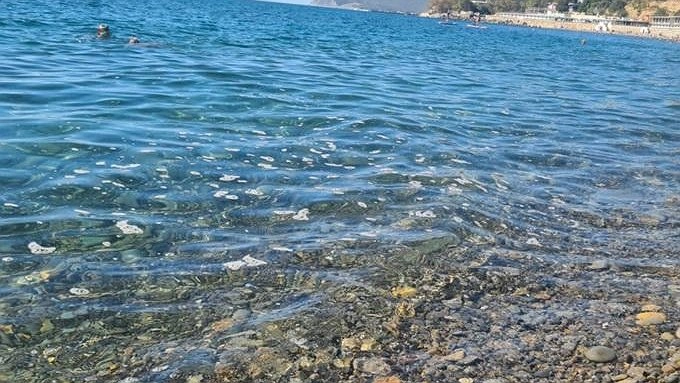 «Такого ужаса ещё не было»: отдыхающие в Широкой Балке выбежали из воды из-за грязи и вони