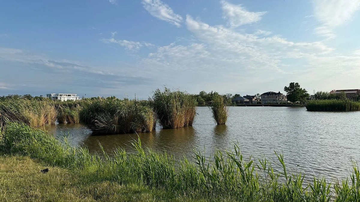 Лето заглянуло ненадолго: Вильфанд объявил россиянам о новой волне ливней