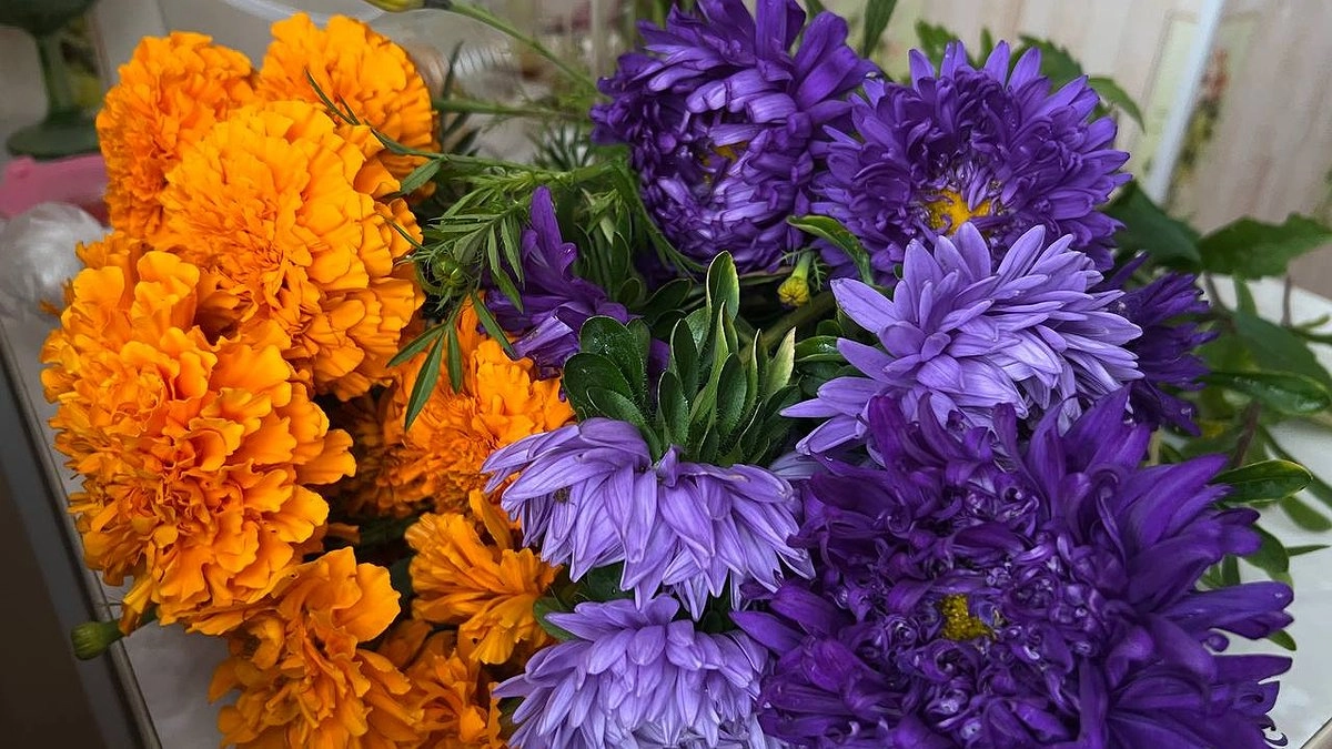 Секрет советских цветоводов: щепотка аптечного порошка заставит цвести даже фикус