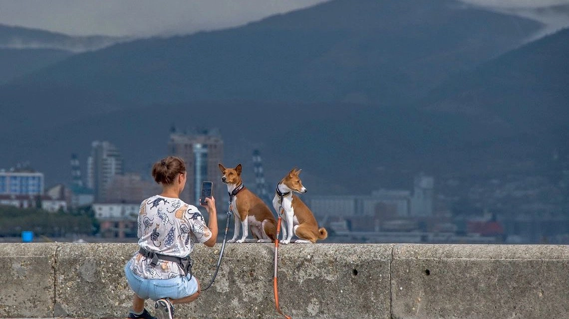 В Новороссийске на выходных будет ветрено и тепло