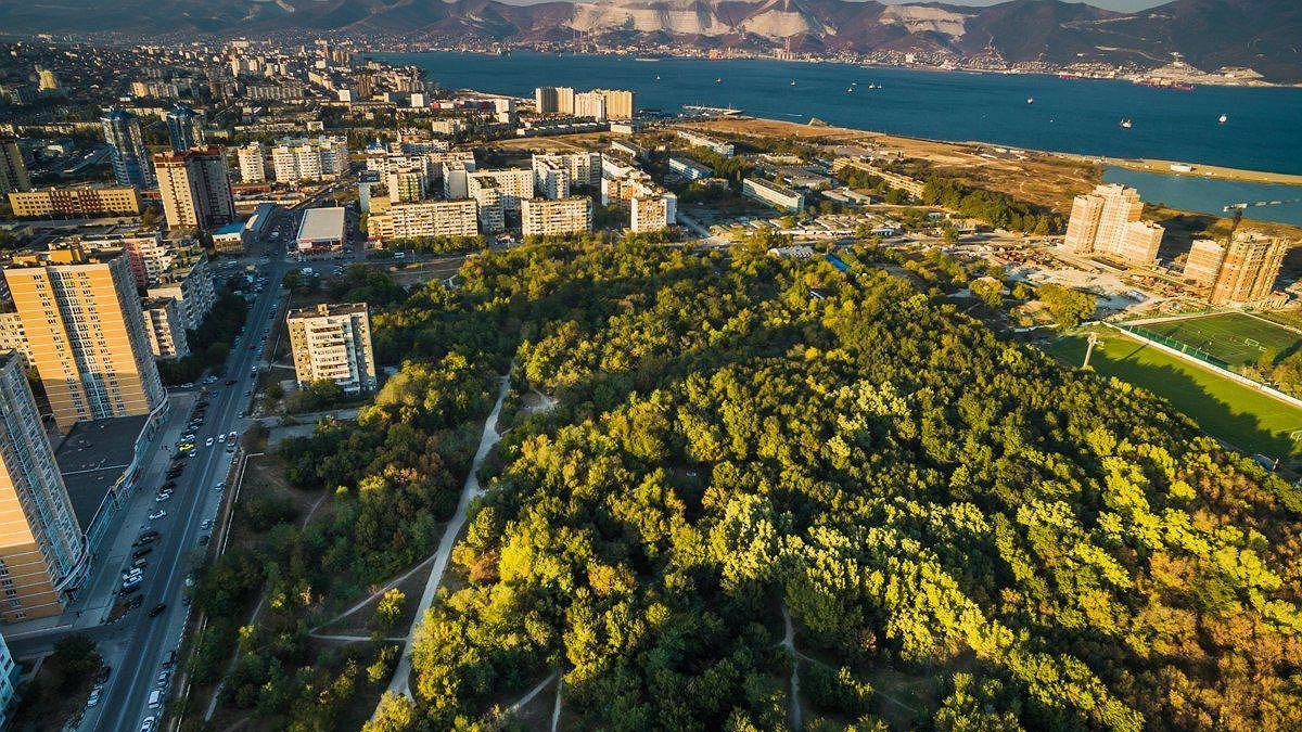 Главная картинка новости: В Новороссийске начали обсуждать реконструкцию Пионерской рощи