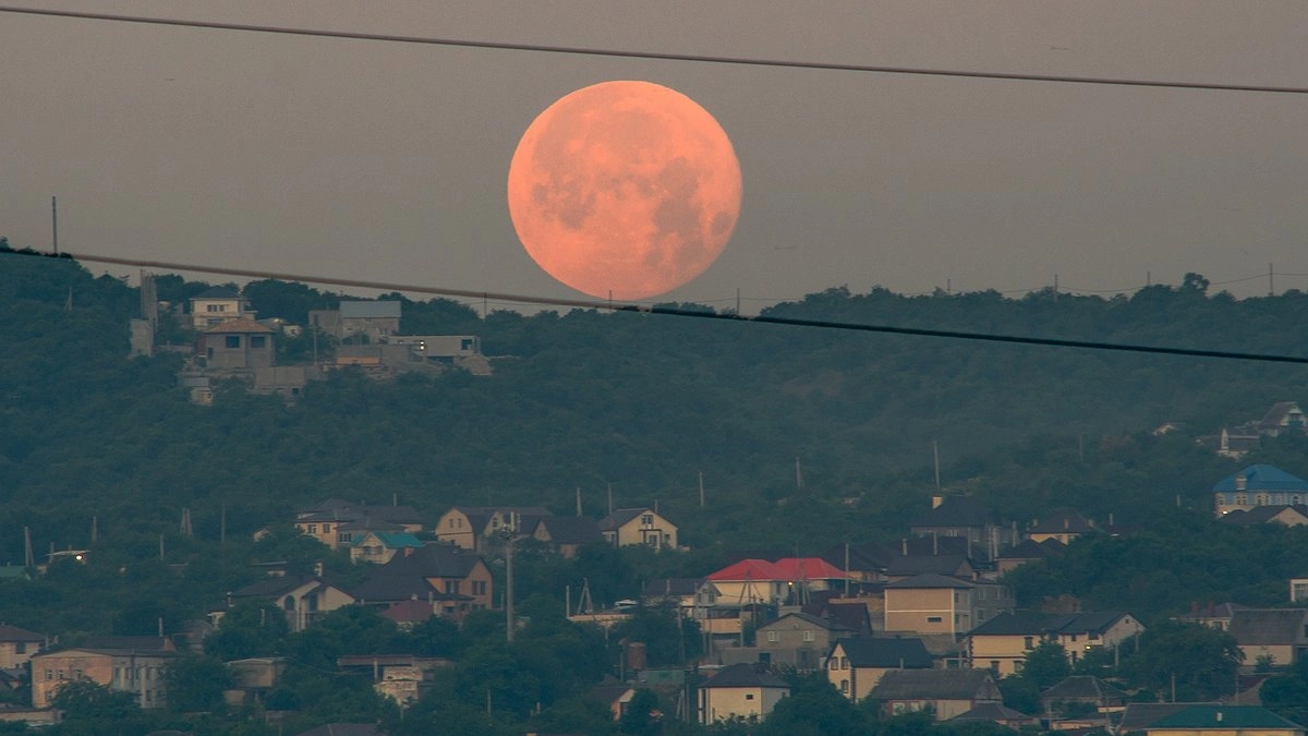 Главная картинка новости: В июле новороссийцы увидят Суперлуние-2022 и два звездопада