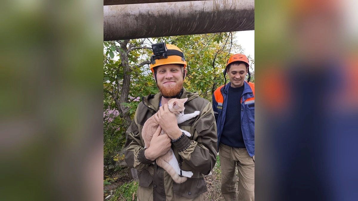 «Понедельник начался с чуда»: спасатели Новороссийска помогли вернуть хозяйке котёнка