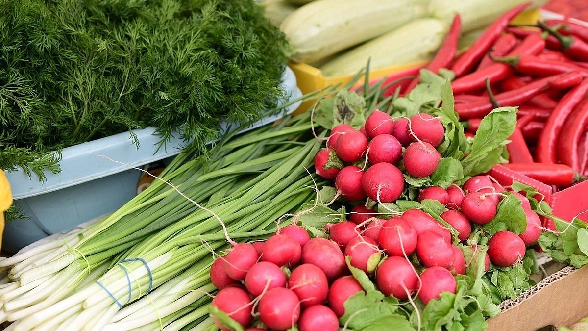 Мэр Краснодара потребовал ликвидировать стихийный рынок за ярмаркой на Одесской