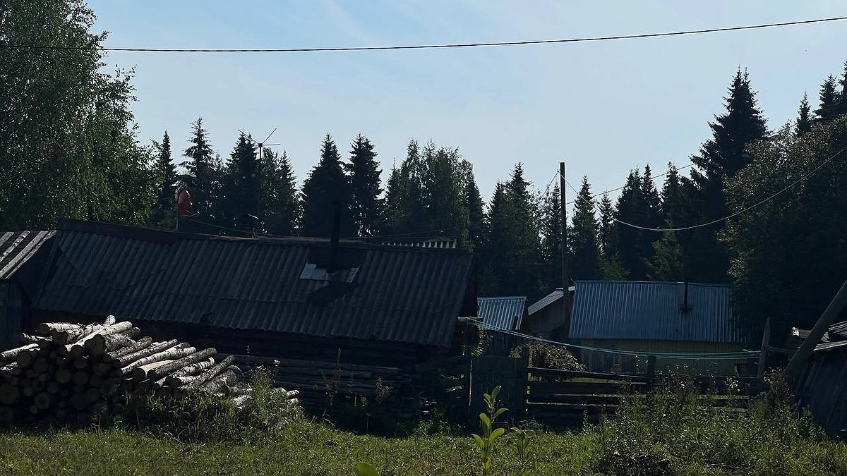 Ошибки губщие весь урожай: 5 фатальных промахов при осенней подготовке огорода, которые допускают даже опытные дачники