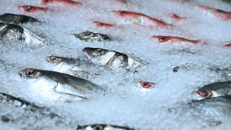 Это самая полезная рыба: прием в пищу всего 2 раза в неделю