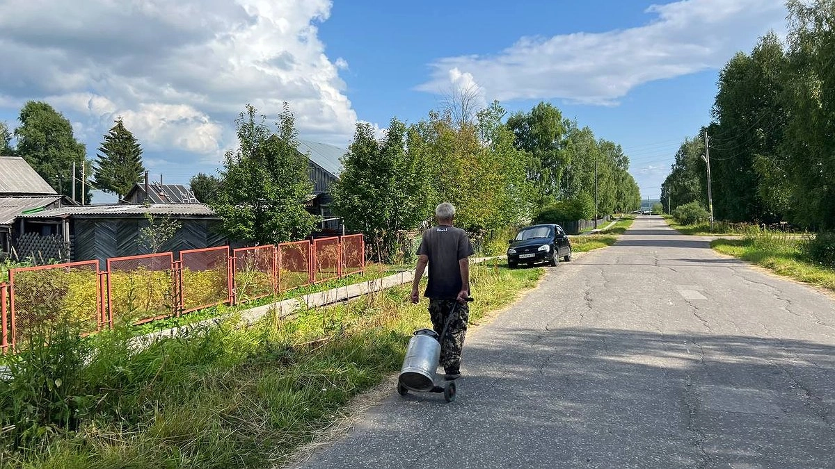 50 000 рублей за дерево: за что теперь штрафуют дачников и как не попасть под санкции