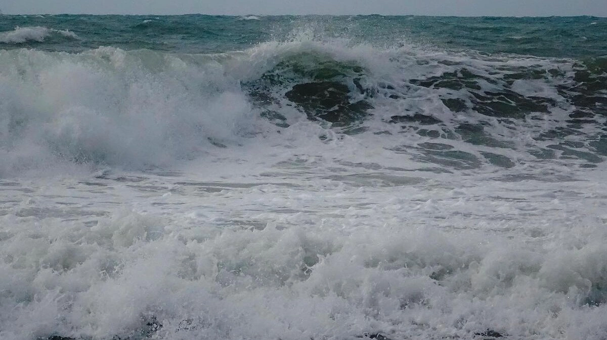 Главная картинка новости: Забудьте всё, что вам говорили: почему купание в Черном море с открытыми глазами — опасная авантюра