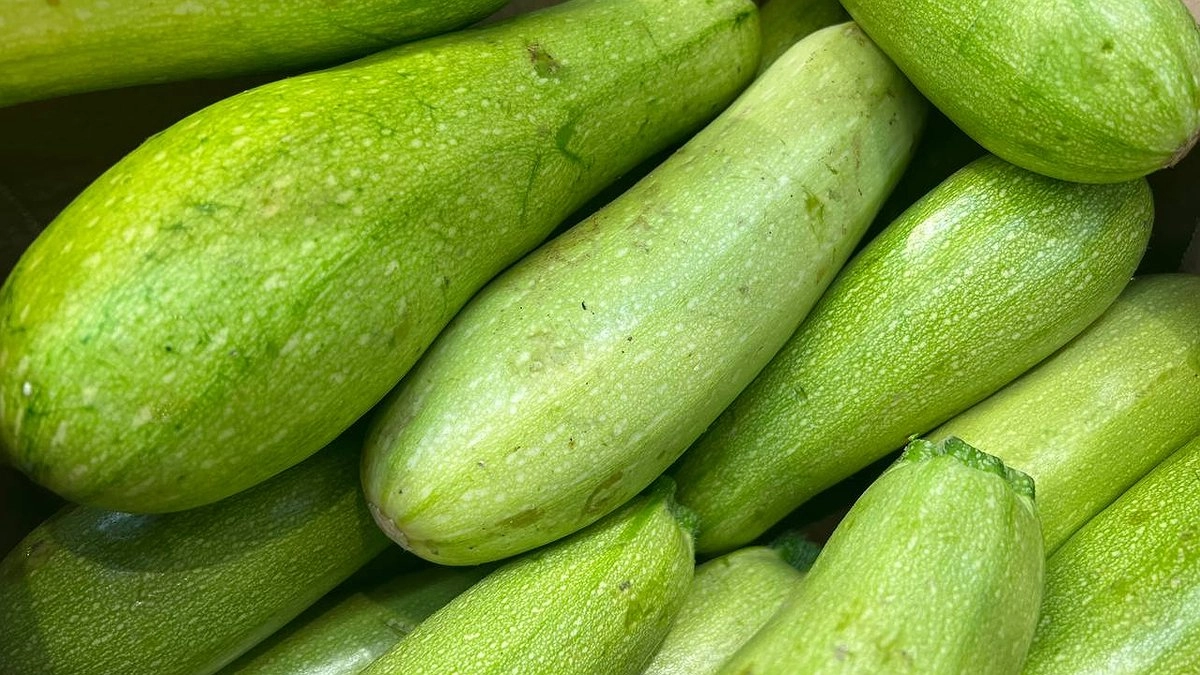 20 тонн турецких кабачков вернули отправителю из порта Новороссийска из-за заражения опасным трипсом