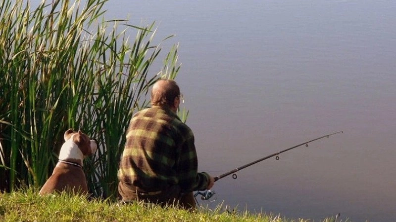 Два жителя Краснодарского края получили условный срок за незаконный лов рыбы