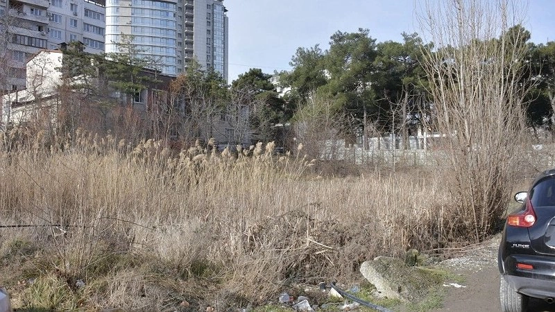 Экологи выступают против нового использования спорного участка в Новороссийске