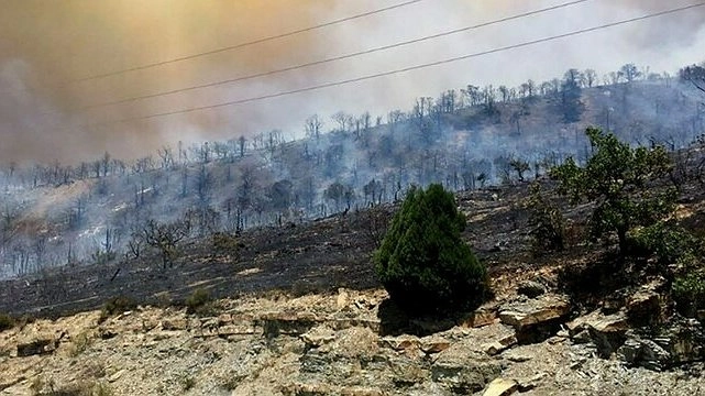 Главная картинка новости: Правда о пожаре в окрестностях Новороссийска