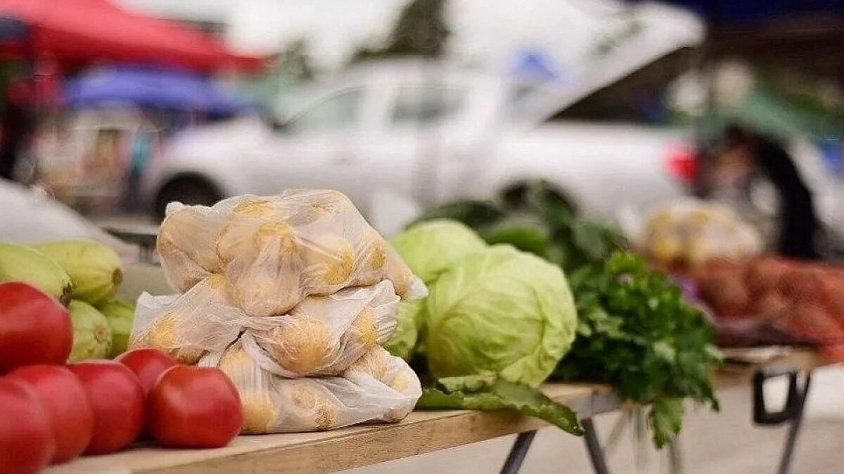 Главная картинка новости: Куда сходить за фермерскими продуктами: адреса краснодарских ярмарок на 22 ноября