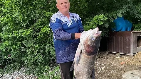 "Настоящий речной богатырь!": в Новороссийске поймали толстолобика-гиганта весом 18 кг