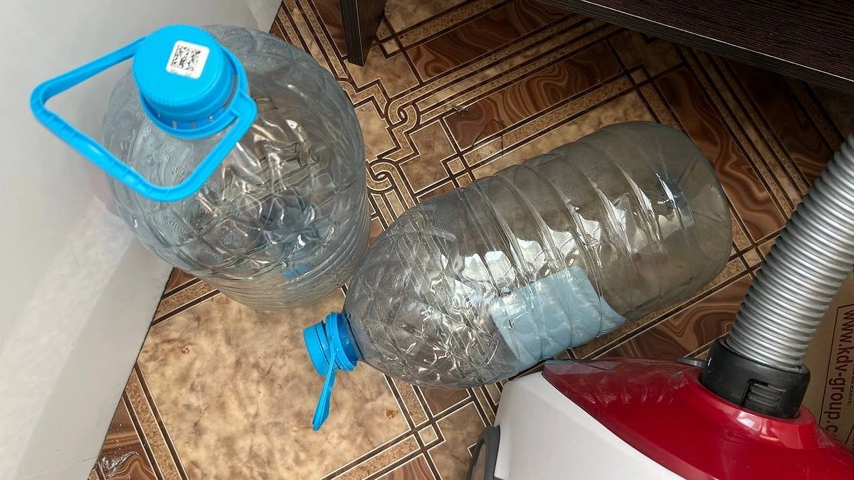 Как надёжно укрыть розы на зиму без окучивания: лайфхак с пластиковыми колпаками