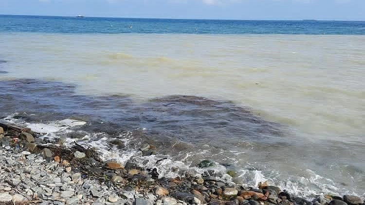 Главная картинка новости: «Что с морем?» Блогер обратила внимание на странный цвет воды в Южной Озереевке