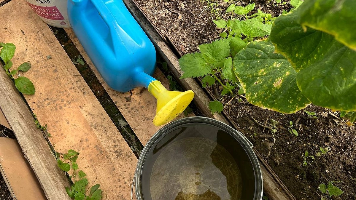 Грядки будут плодоносить как сумасшедшие: просто разбросайте это средство в октябре — и забудете о подкормках до лета