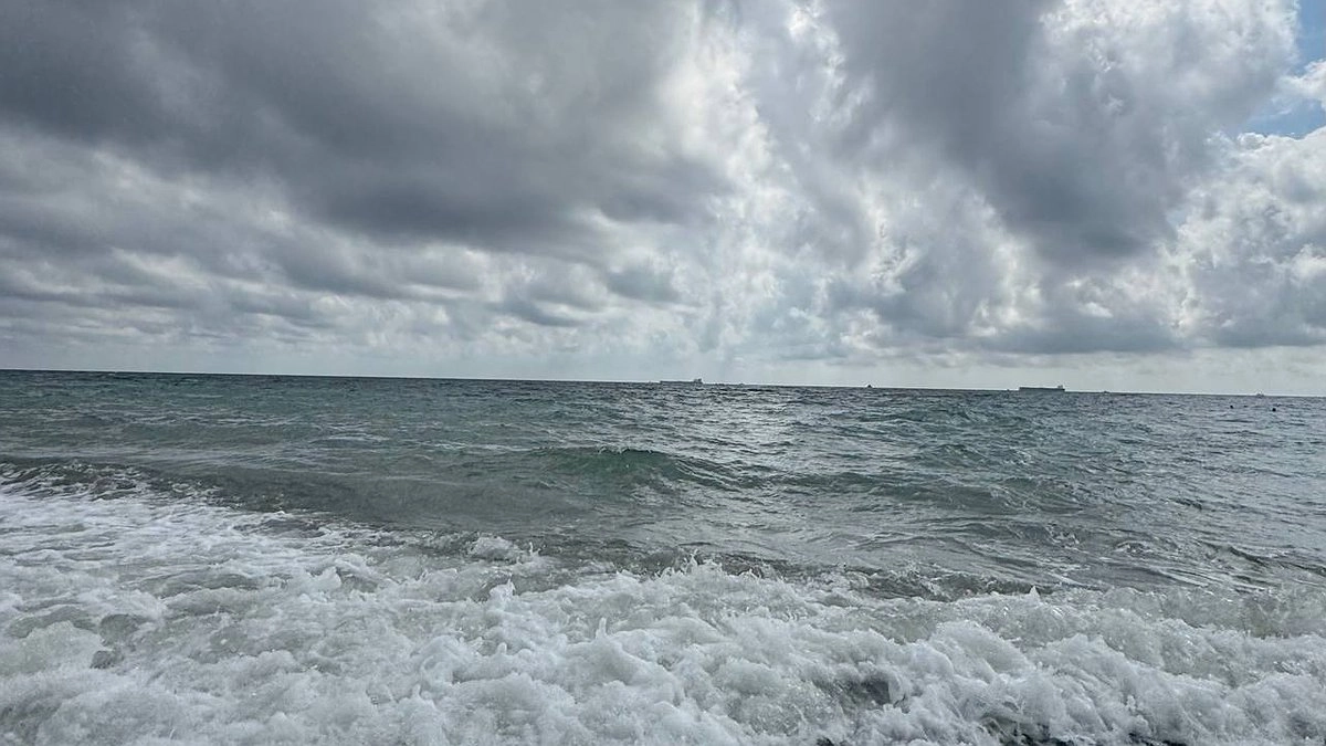 Море стынет на глазах: на кубанские пляжи вышли первые «моржи»