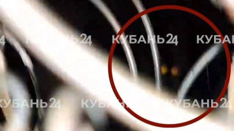 Спор между жильцами Новороссийска: кошки оказались в ловушке из-за закрытого продуха