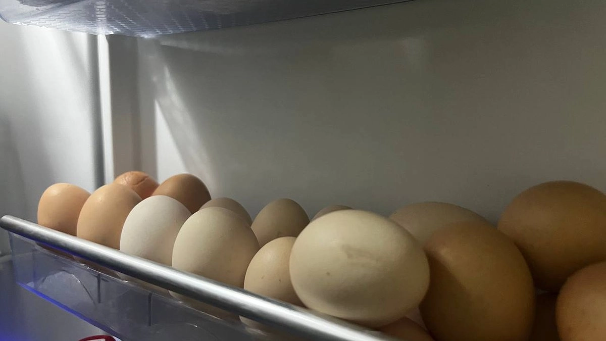 Главная картинка новости: Яйца для себя ушлые продавцы выбирают только так: запоминайте 2 правила