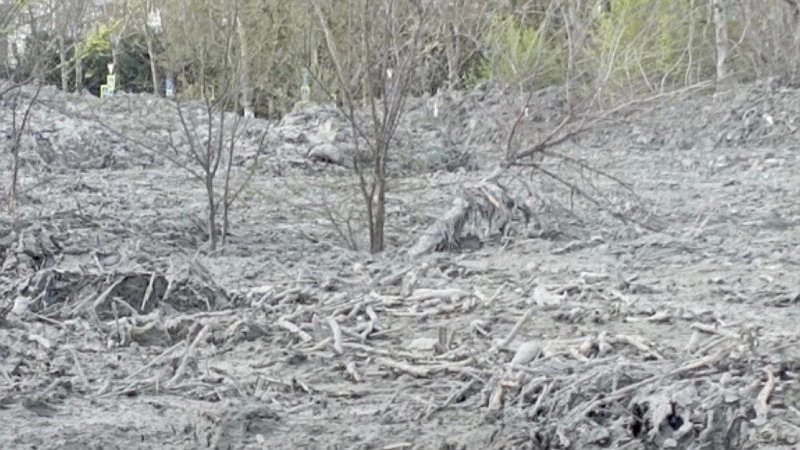 Экологи Новороссийска требуют исправления нарушений в благоустройстве Южных прудов