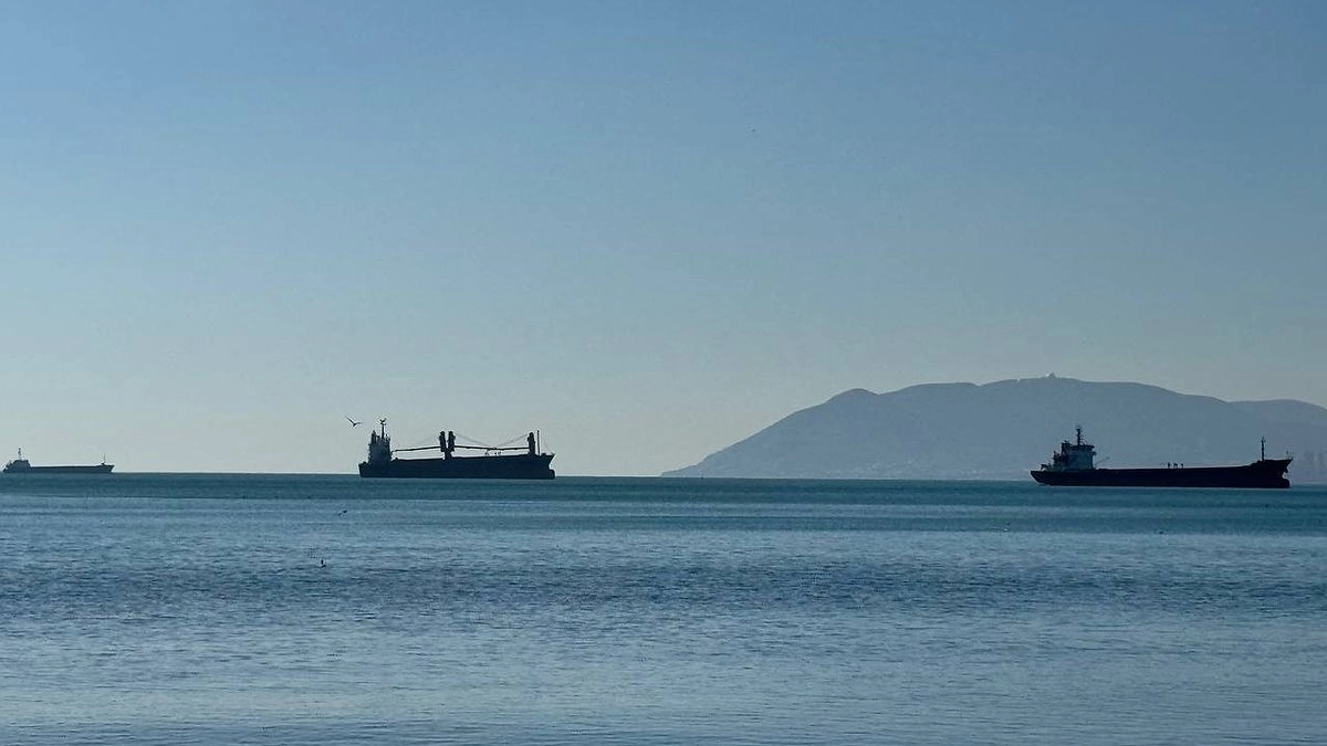 Грузооборот морского порта Новороссийск упал на 15% за первые два месяца 2026 года