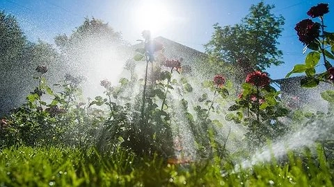 Прогноз Вильфанда: научное обоснование аномальной жары, которая накроет Россию в ближайшие дни