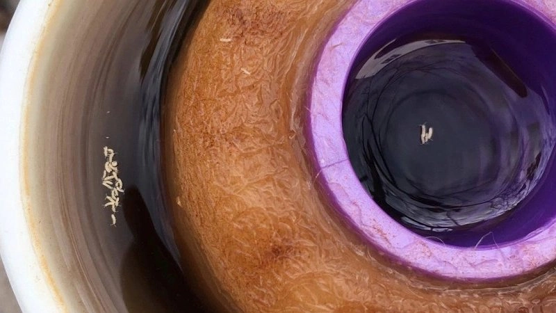 Новороссийцы жалуются на качество воды