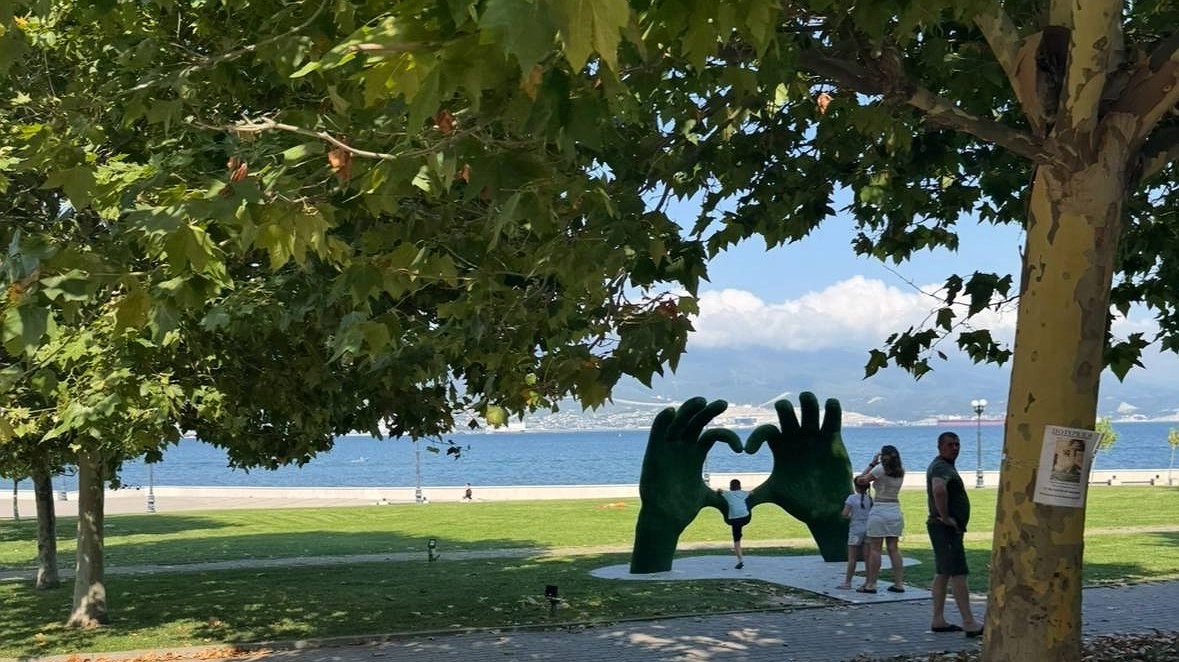 Новороссийск готовится к новой волне озеленения: осенью высадят 360 тысяч цветов