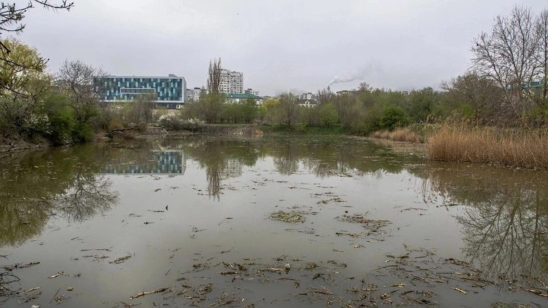Жители Новороссийска выступают против благоустройства Южных прудов: сохранение природы важнее изменений