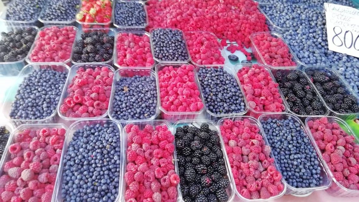 Главная картинка новости: Ученые назвали самый полезный фрукт - не яблоко, не банан: вы не догадаетесь