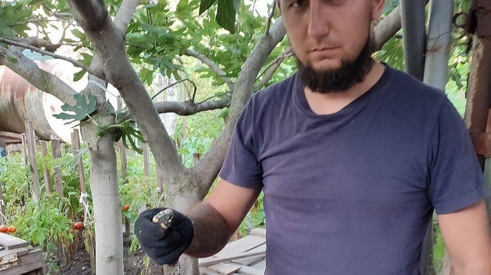 Главная картинка новости: В Мысхако спасатели извлекли змею из-под клетки с кроликами