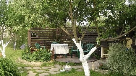 Побелка деревьев весной: нужно ли, когда и как делать правильно