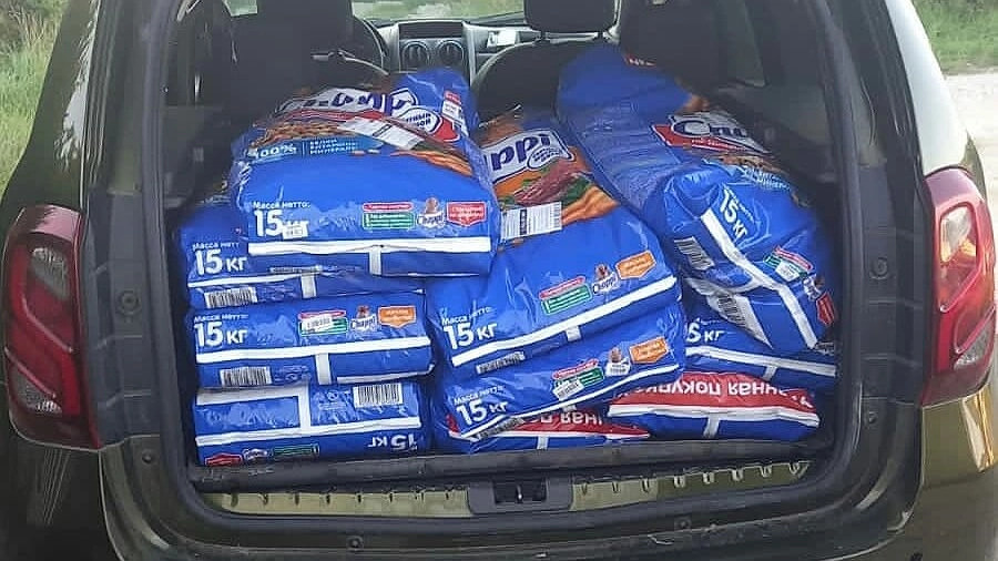 Девятиклассник из Новороссийска выиграл в конкурсе по финансовой грамотности и потратил приз на корм для бездомных собак