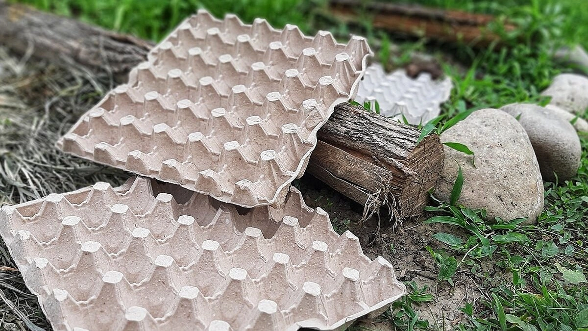 Не выбрасывайте лотки от яиц: они станут верными помощниками в огороде